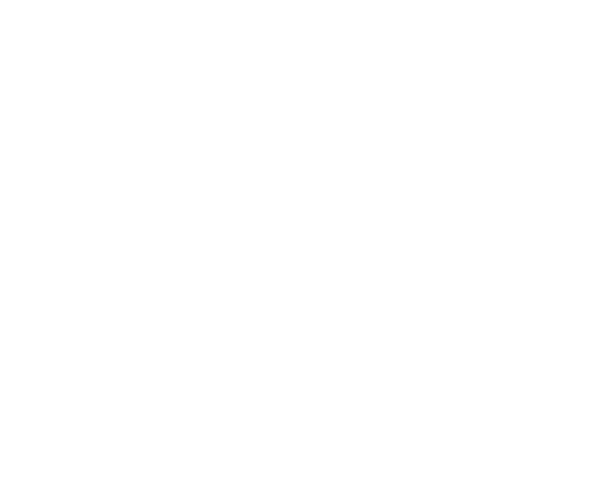 Barneys Hard Seltzer